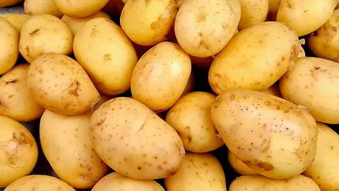 Картофель