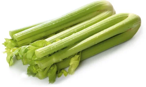 Сельдерей